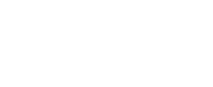 Nette Reklam Ajansı - Bakı & İstanbul Logo